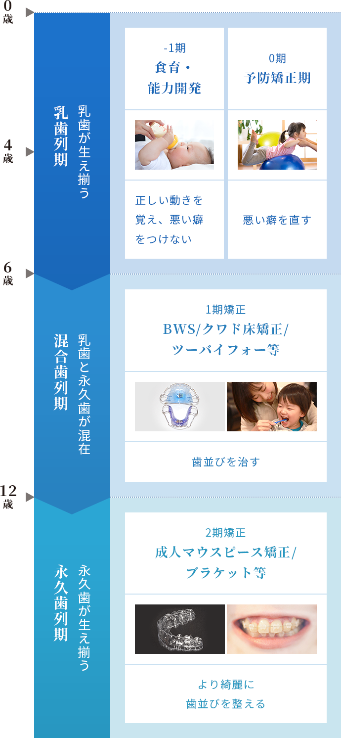 小児矯正開始時期の目安の図